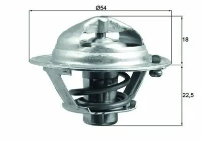 BEHR MAHLE TX 166 85D Termostat 85c Hyundaı Accent 06-10 -Getz 05-09 1.5crdi-İ10 1.1crdi-İ20-İx20-İ30 1.4-1.6crdi 255002A050