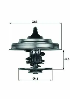 BEHR MAHLE TX1875D Termostat 75 °c Conta Ile Mercedes Renault Iveco 4749724, 4749727, 4750024, 4807495, 4827495, 98425854, 52035875