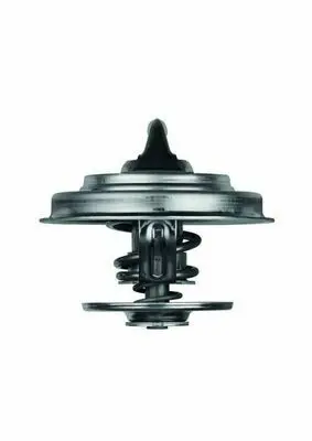 BEHR MAHLE TX1875D Termostat 75 °c Conta Ile Mercedes Renault Iveco 4749724, 4749727, 4750024, 4807495, 4827495, 98425854, 52035875