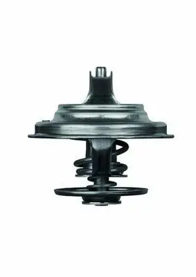 BEHR MAHLE TX2379D Termostat  79 °c Man Tga 18.310, 18.320 Iveco Eurotrakker Mp 440 E 42 Ht 251899, 98465113, A0042034375