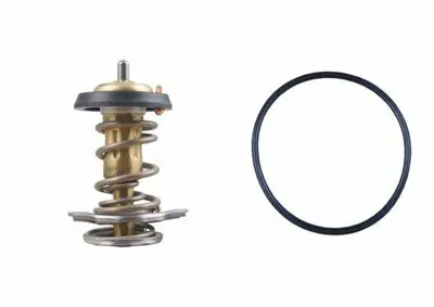 BEHR MAHLE TX 264 82D Termostat Thermostat İnsert 504387382