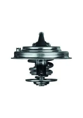 BEHR MAHLE TX 34 87D Termostat 77121113B