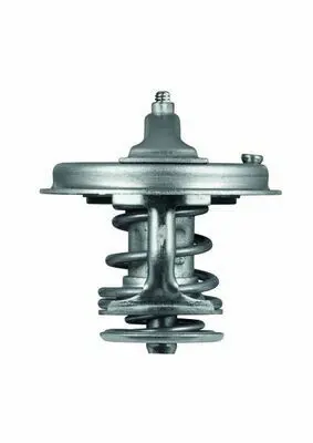 BEHR MAHLE TX 78 83 Termostat 2120096002, 2550025002, ME999295