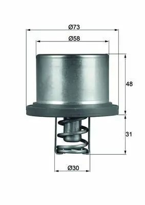 BEHR MAHLE THD 2 89 Termostat Cayenne 3.6 4.8 07>10 M4851 M4801 94810612501