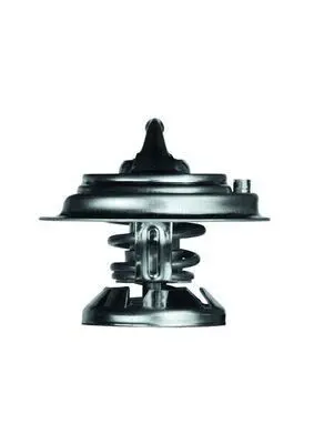 BEHR MAHLE TX 29 75D Termostat 75 °c (Om601 Om602 Om603) W124 85>93 W202 93>00 W210 96>02 W461 97> A6012000215
