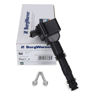 BERU ZS178 Ateşleme Bobini 99660210400