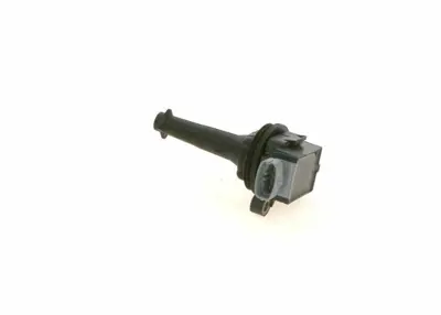 BOSCH 0221604010 Ateşleme Bobini Volvo C30 2.4-T5 0614 C70 Iı 2.4-T5 0612 S40 Iı 2.4-T5 S60 Iı 2.5 - 2.0 0012 S80 I 2.0t 2.5 V40 T4 0315 V50 2.0 V60 2.0t T5  V70 Iı 9907 2.0t 2.4-2.5 Xc60 T4 1417 0414 Ford Focus Iı 2.5 0511 Kuga I 2.5 0814 Mondeo Iv 0714 2.5 S-Max 2.5 0614 6M5G12029AA
