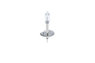 BOSCH 1987302411 Ampül H170W24V