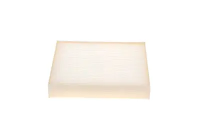 BOSCH 1987435134 Polen Filitresi 97133G6000