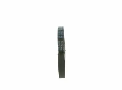 BOSCH 1987945904 V Kayısı 60625590