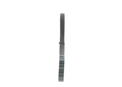 BOSCH 1987946142 V Kayısı 2S6E6D314AD