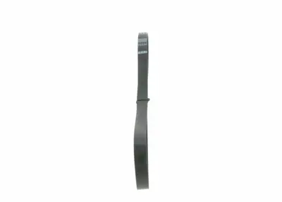BOSCH 1987946142 V Kayısı 2S6E6D314AD