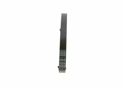 BOSCH 1987947577 Kanallı Kayıs Clıo Iı Iıı Fluence Kangoo Megane Iı Iıı Scenıc Iıı Symbol 1.5 Dcı K9k 117205191R
