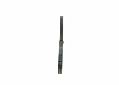 BOSCH 1987947648 V Kayısı 7655544