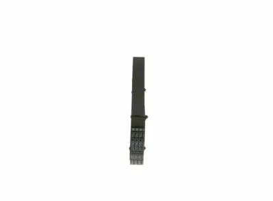 BOSCH 1987947817 Kanalli Kayis 6pk0875 2S6E6D314AD