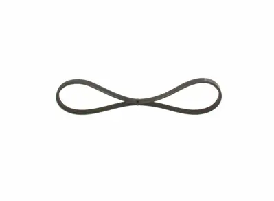 BOSCH 1987947883 V Kayısı 6593893