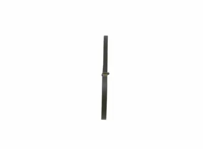 BOSCH 1987947884 Kanalli V Kayişi 31110PJ70040, 7788554, 90299370, F53E8K543AB, GY0118381