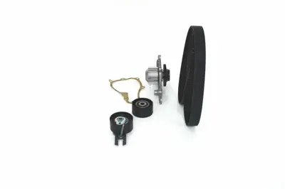 BOSCH 1987948721 Devirdaimli Eksantrik Gergi Kiti 137x254 P207-307-308-Part-C3-C4-C5-Berl- Fıesta-Focus 1.6hdı-Tdı ME3M5Q8B596AA, 11317805960, 2S6Q6B217AB, 11517805992