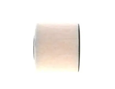 BOSCH F026400422 Hava Filitresi 8W0133843A