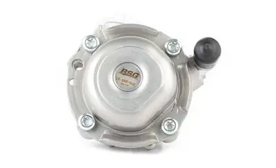 BSG 15-355-005 Dıreksıyon Pompası 32411137952