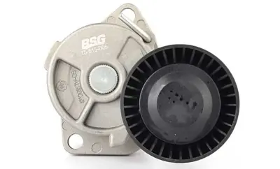 BSG 15-615-005 V Kayıs Gergisı Komple 11281432104