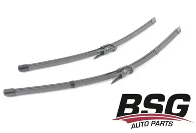 BSG 15-992-014 Silecek  Süpürgesı Ön Takım 61612219147