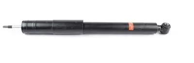 BSG 60-300-054 Amortısör Arka A1693260000