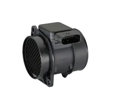 BSG 60-837-007 Hava Debimetresi A1110940148