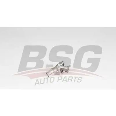 BSG 65-125-018 Termostat 12656949, 1338491
