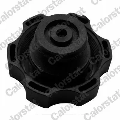 CALORSTAT by Vernet ET0024C1 Radyatör Yedek Su Deposu Opel Insıgnıa A (Sensörsüz) 22953219
