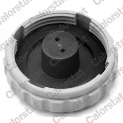 CALORSTAT by Vernet ET0078C1 Radyatör Yedek Su Deposu Opel  Corsa B - Combo B Tek Çıkışlı 92099948, 93217461