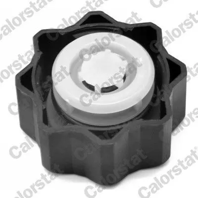 CALORSTAT by Vernet RC0021 Radyator Kapagi P107 P206 P207 P307 P407 Partner Tepeee C2 C3 C4 Berlingo Iii Partner Berlingo P306 P206 Xsara Jumpy Dw8 - Dw8b P605 Xm P406 Xantia 2 1td P205 P405 P309 Zx C15 P406 Xantia Bx Expert Jumpy Xud7 - Xud9 1792068DB0, 9638001280