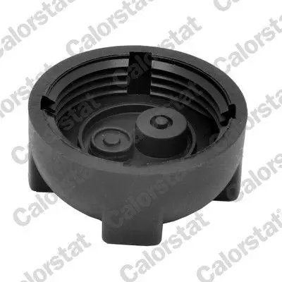 CALORSTAT by Vernet RC0172 Radyatör Kapağı Smart 4505010015, A4505010015