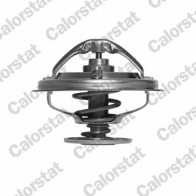 CALORSTAT by Vernet TH6497.85J Termostat Bmw E34 E38 M60 M73                              11531729841