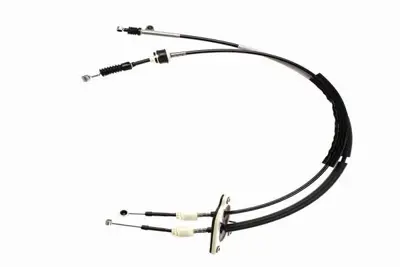 CAVO 1114 677 Vıtes Telı 55212475