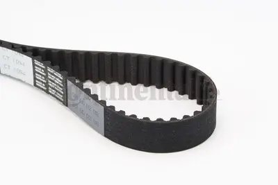 CONTITECH CT 1094 Pompa Kayısı 059109119D