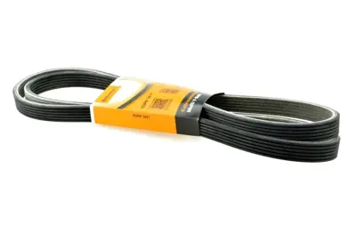 CONTITECH 6DPK 1817 V Kayısı 11288574958