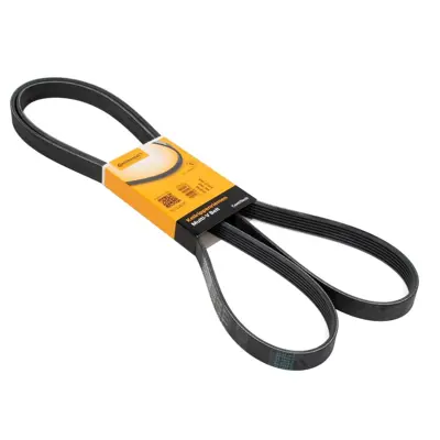 CONTITECH 6PK 1026 V Kayısı 04L260849C