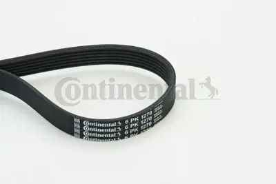 CONTITECH 6PK 1270 V Kayısı F1GQ6C301AA