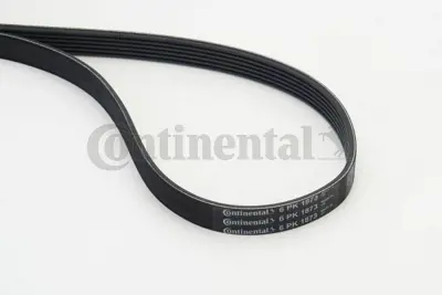 CONTITECH 6PK 1873 V Kayısı 03E260849A