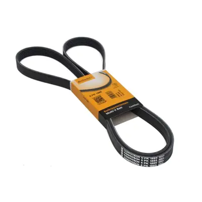 CONTITECH 6PK 1885 V Kayısı A0089974492