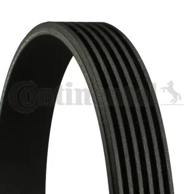 CONTITECH 6PK 2055 V Kayısı A0129971592