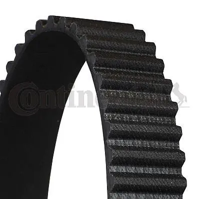 CONTITECH CT 727 Triger Kayısı 077109119D