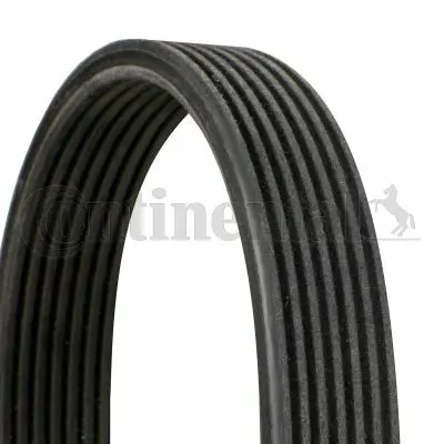 CONTITECH 7DPK2074 V Kayısı 022145933P