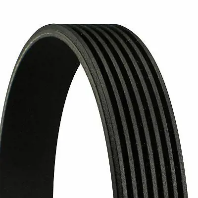 CONTITECH 7PK 1440 V Kayısı 11281407975