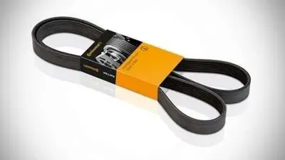 CONTITECH 7PK 3120 V Kayısı CC1Q6C301FA