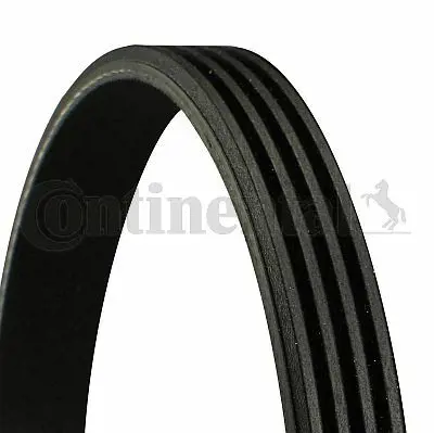 CONTITECH 4PK780 Kanallı Kayıs Opel Omega B 2.5d Honda Volvo S40 1.8 Bmw 48347 64552243732, 64552245451, 64552245179, 64552246732, 11282245451, 11282246732, 9004831017, 2245179, 2246732, 2243732