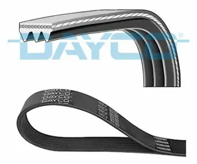 DAYCO 3PK815 V Kayısı 89FF6C301E2B