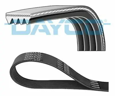 DAYCO 4PK1538 Kanallı Kayış Micro Clıo Iı 98 Kng 97 Twng 96 1.2-1.2 16v 8200041852