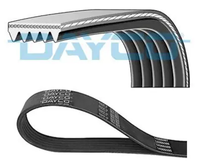 DAYCO 5PK1745 V Kayısı 252122A132